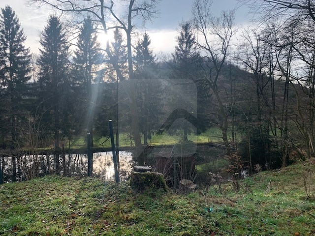 H2a_außen_Blick auf den Teich